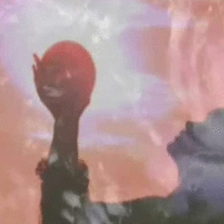 a rose blooms in chaos cover art