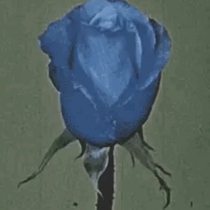 the difference cover art
